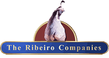 The Ribeiro Companies